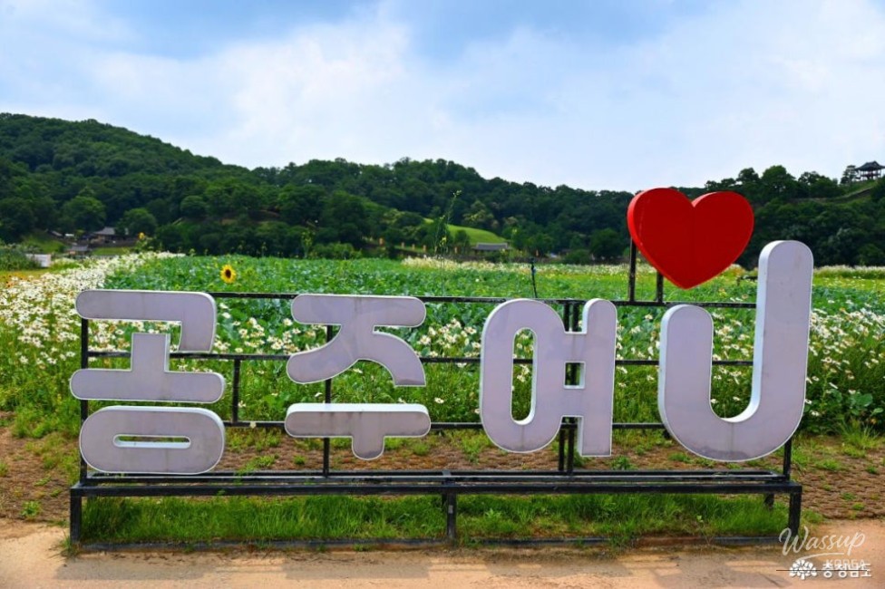 Summer at Gongju Mir Island_06