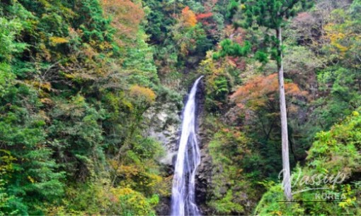 Discovering Paju's Wellness Retreat: A Perfect Weekend Getaway_07