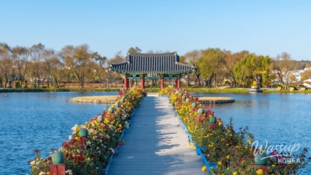 Exploring the Tranquil Beauty of Gungnamji in Buyeo_03