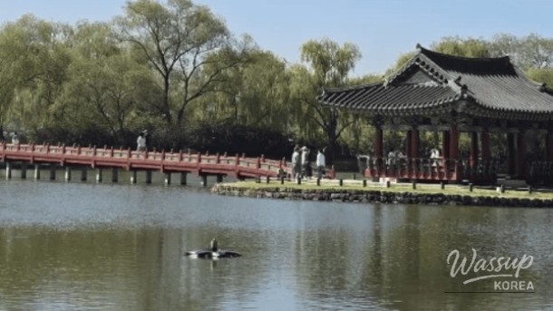 Exploring the Tranquil Beauty of Gungnamji in Buyeo_01