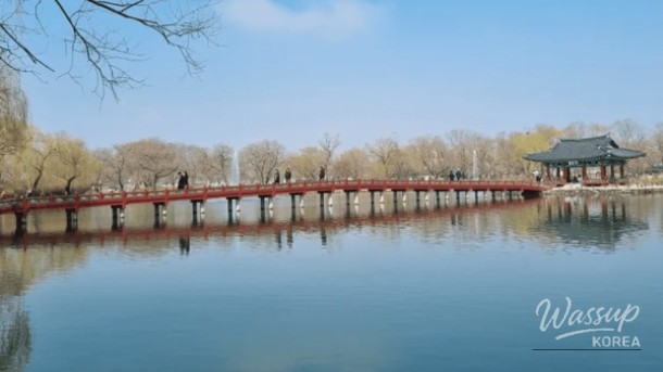 Exploring the Tranquil Beauty of Gungnamji in Buyeo_02