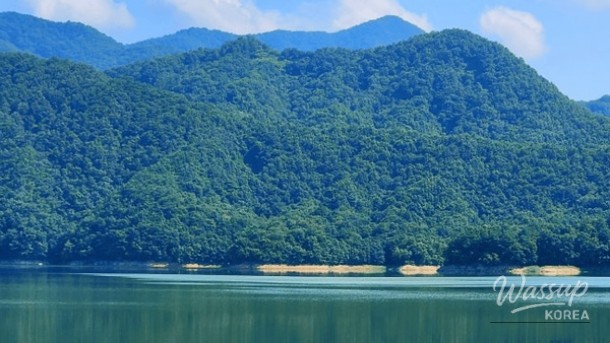 A Unique Outdoor Healing Space in Hongseong for Family Outings_03