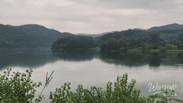 A Unique Outdoor Healing Space in Hongseong for Family Outings_05