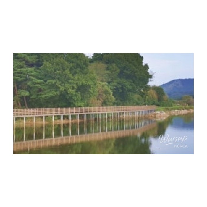 Explore the Tranquil Hongyang Reservoir Walking Trail4202