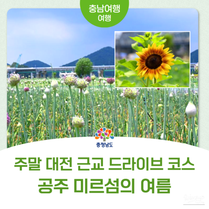 Summer at Gongju Mir Island4205