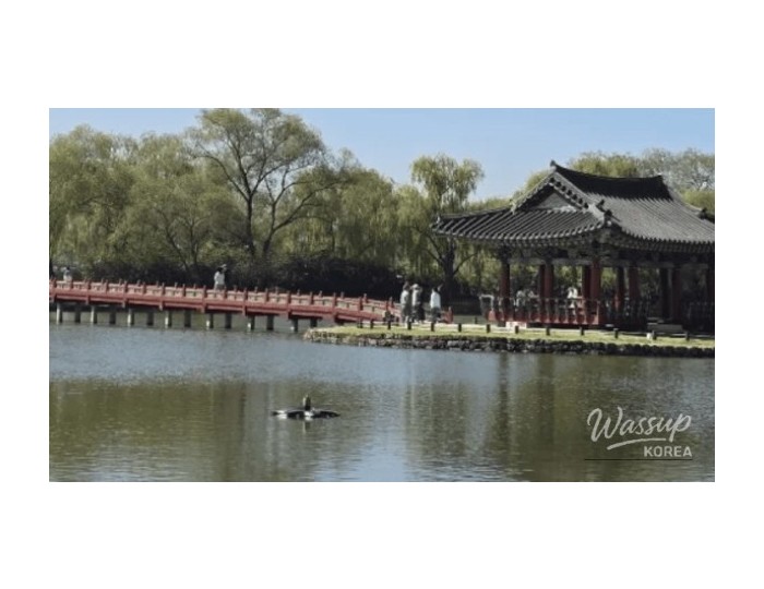 Exploring the Tranquil Beauty of Gungnamji in Buyeo float