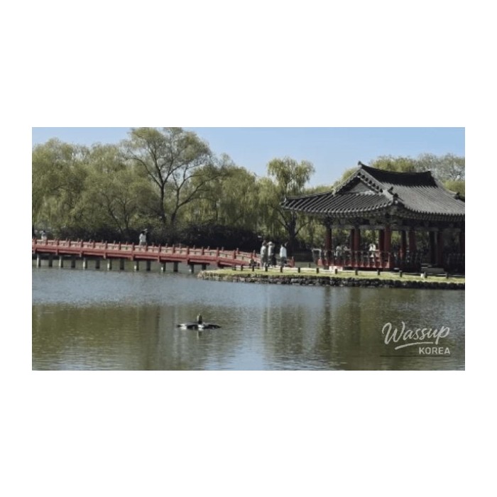 Exploring the Tranquil Beauty of Gungnamji in Buyeo4209