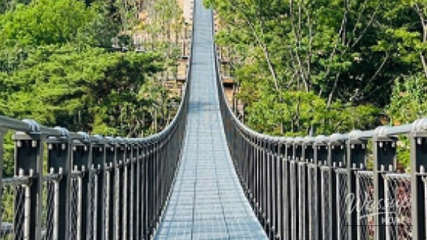 Discovering Peace at Aegibong Peace Ecological Park_04
