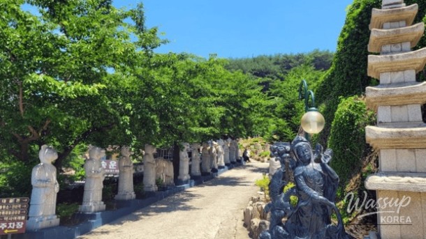 Discover the Serenity of Ulsan Songunsa Temple_05