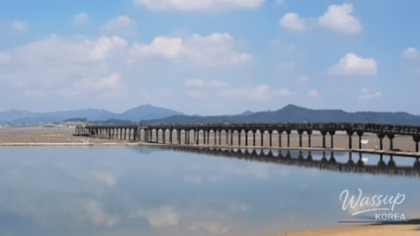 Discover the Tranquil Dolmeori Beach in Hampyeong, South Korea_05