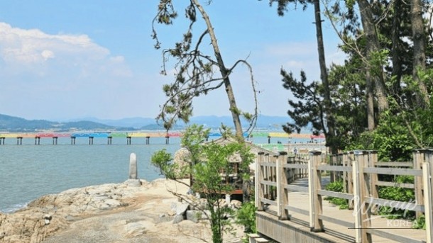 Discover the Tranquil Dolmeori Beach in Hampyeong, South Korea_03