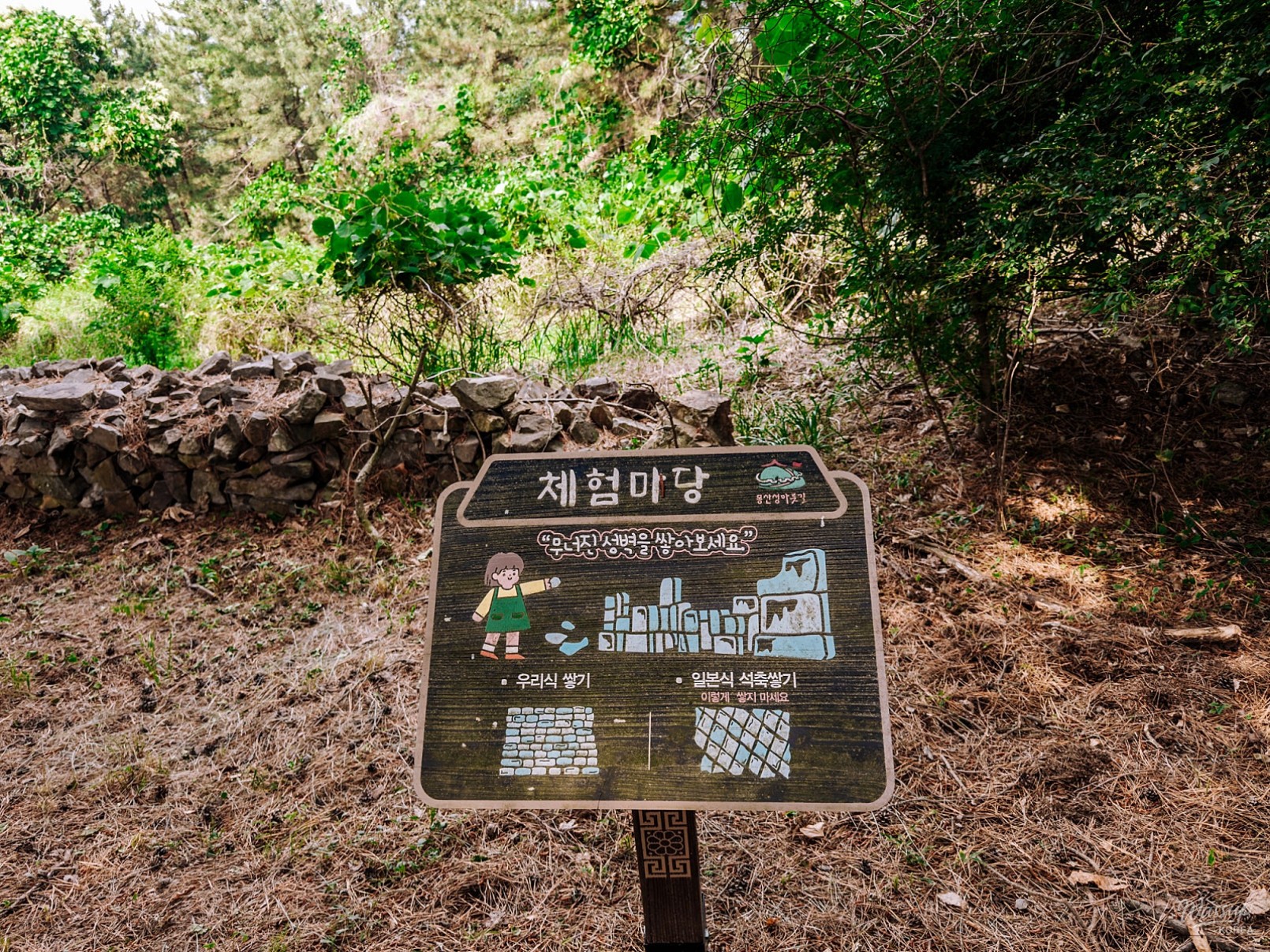 Exploring the Scenic Paths of Dangjin: A Day of Nature and Culture_14