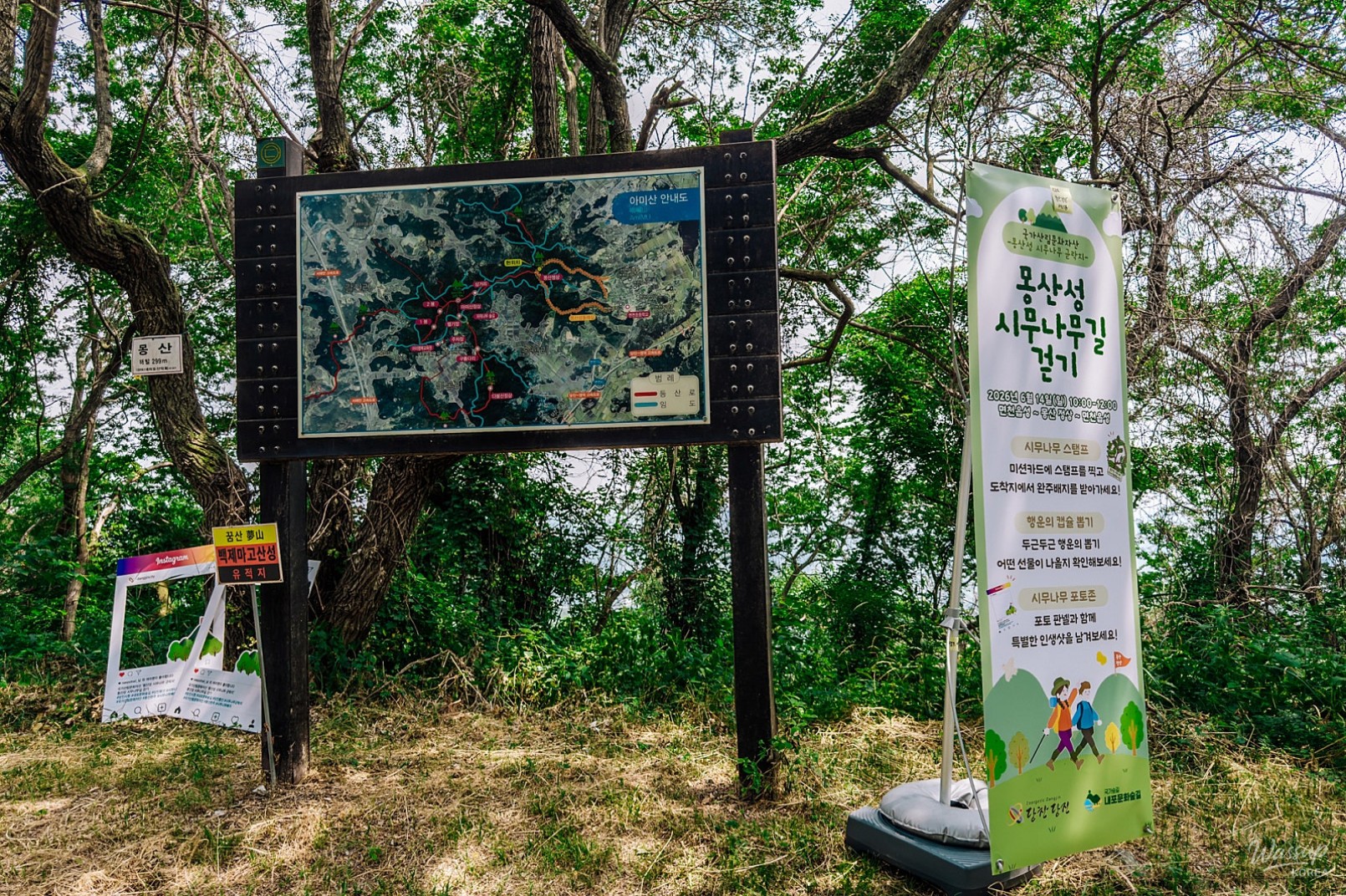 Exploring the Scenic Paths of Dangjin: A Day of Nature and Culture_10