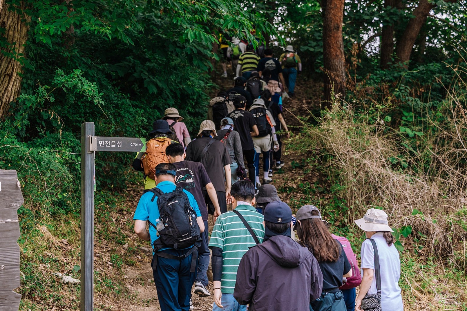 Exploring the Scenic Paths of Dangjin: A Day of Nature and Culture_07