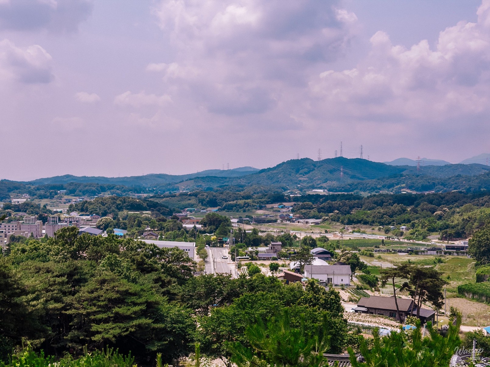 Exploring the Scenic Paths of Dangjin: A Day of Nature and Culture_16