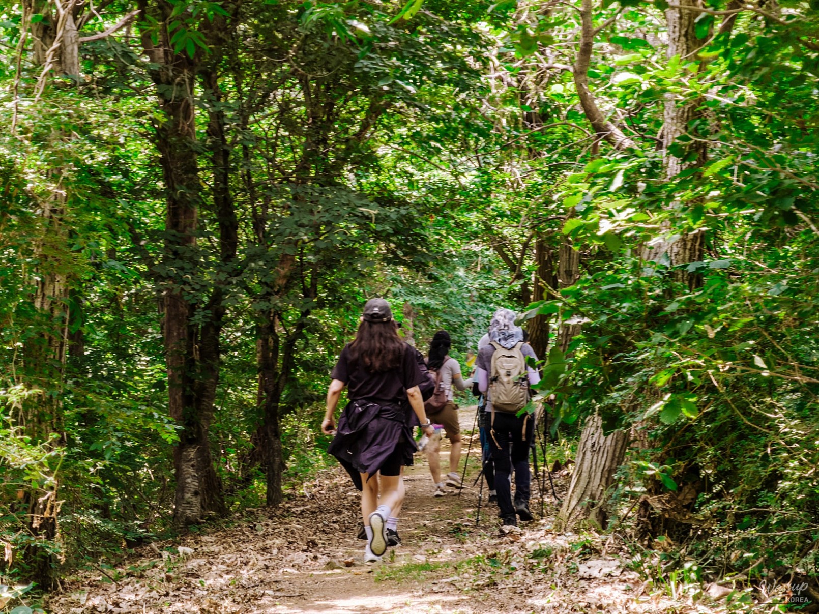 Exploring the Scenic Paths of Dangjin: A Day of Nature and Culture_15