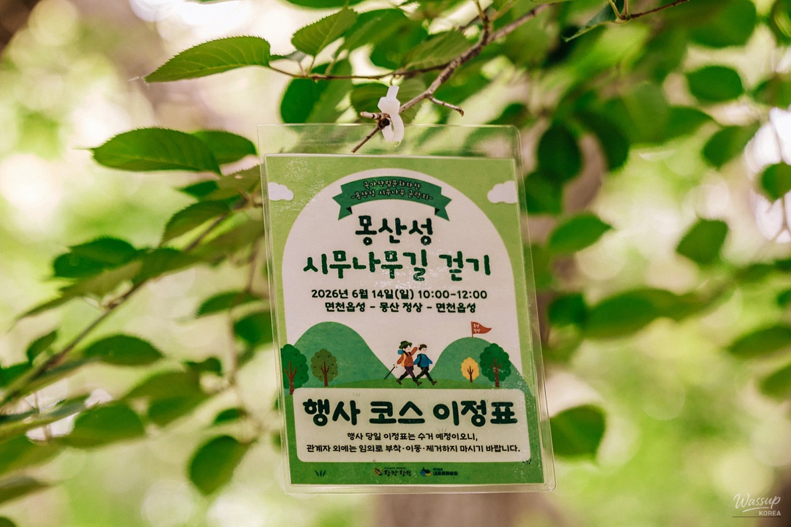 Exploring the Scenic Paths of Dangjin: A Day of Nature and Culture_09