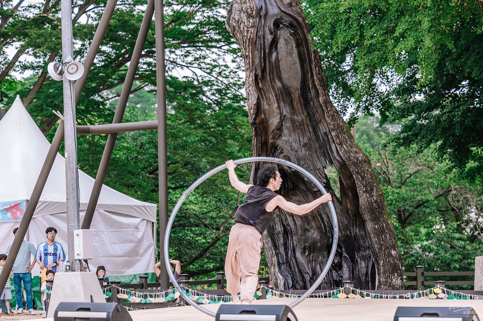 Exploring the Scenic Paths of Dangjin: A Day of Nature and Culture_31