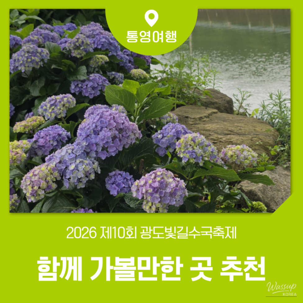 Explore the 10th Gwangdo Light Path Hydrangea Festival in Tongyeong_01