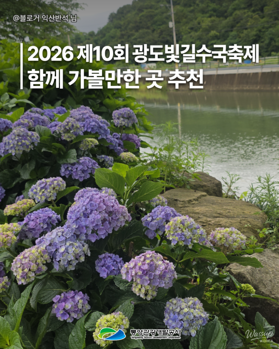 Explore the 10th Gwangdo Light Path Hydrangea Festival in Tongyeong_03