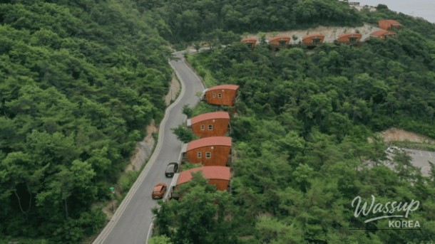 Discover the Healing Space of Byeonsan Natural Recreation Forest_01