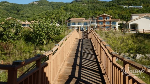 Discover the Healing Space of Byeonsan Natural Recreation Forest_04