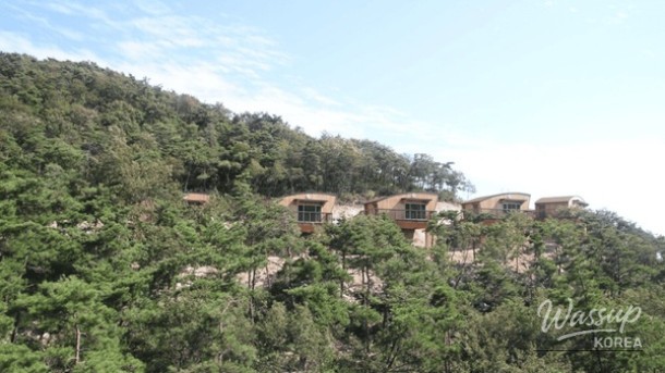 Discover the Healing Space of Byeonsan Natural Recreation Forest_03