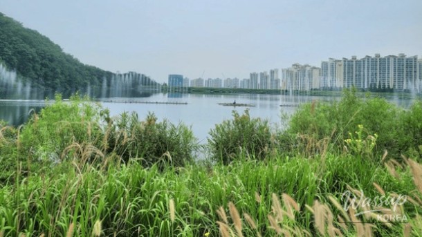 Moonlight Water Park: A Urban Oasis for Wellness and Nature_04
