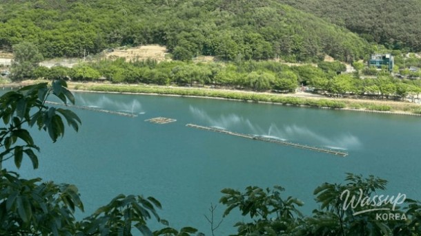 Moonlight Water Park: A Urban Oasis for Wellness and Nature_02