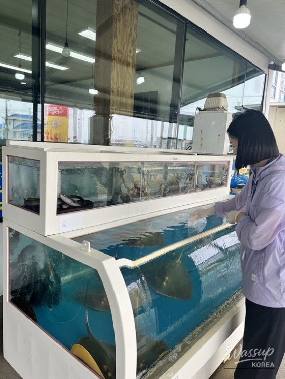 Vibrio Vulnificus Prevention Campaign in Sinan-gun_02