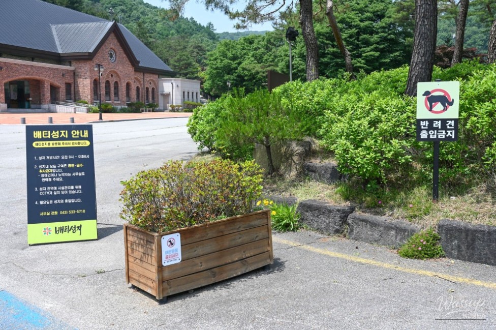 Exploring the Baetti Sanctuary in Jincheon_03