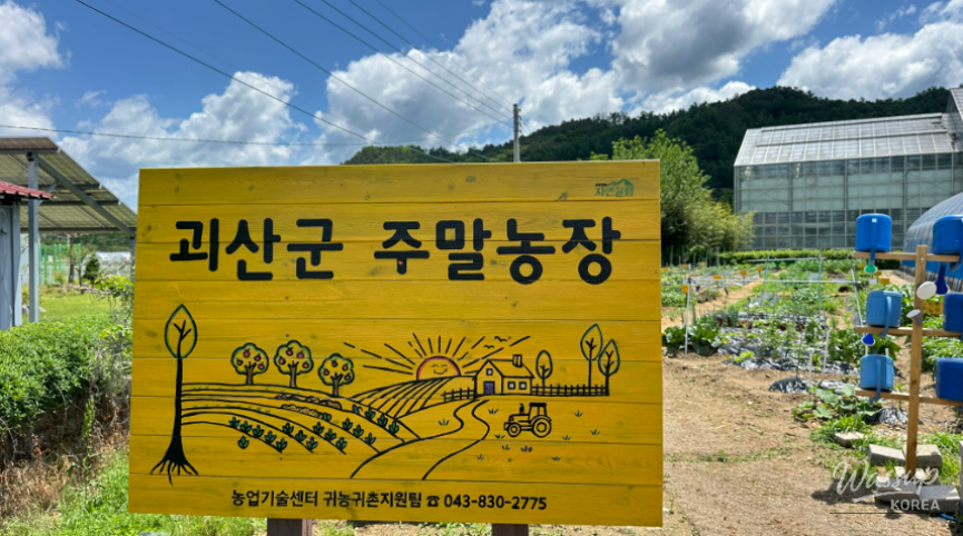 Traveling to Goesan: A Visit to the Agricultural Technology Center Greenhouse_04