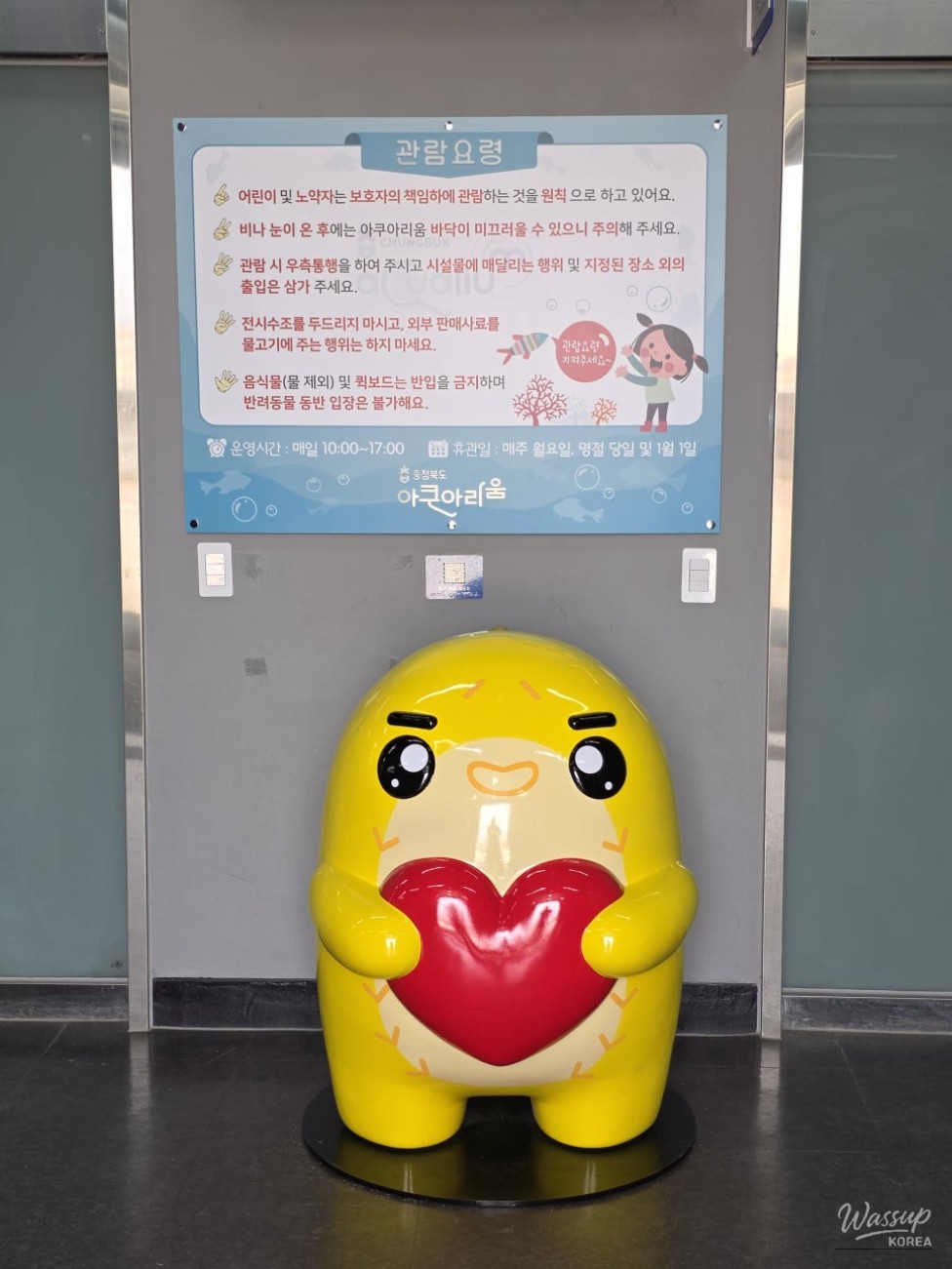 Exploring the Cheongbuk Aquarium in Goesan_04