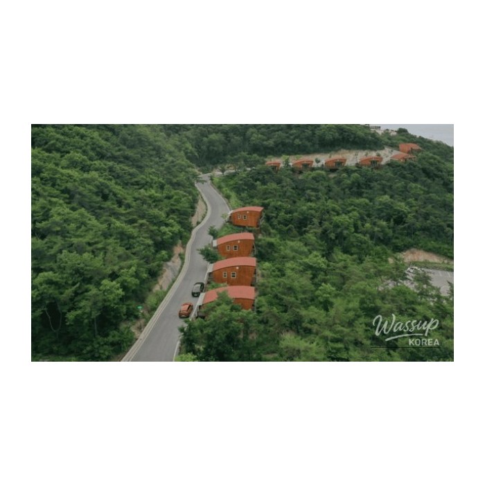 Discover the Healing Space of Byeonsan Natural Recreation Forest4224