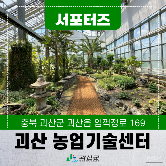 Traveling to Goesan: A Visit to the Agricultural Technology Center Greenhouse4238