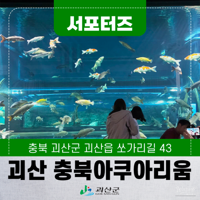 Exploring the Cheongbuk Aquarium in Goesan4237