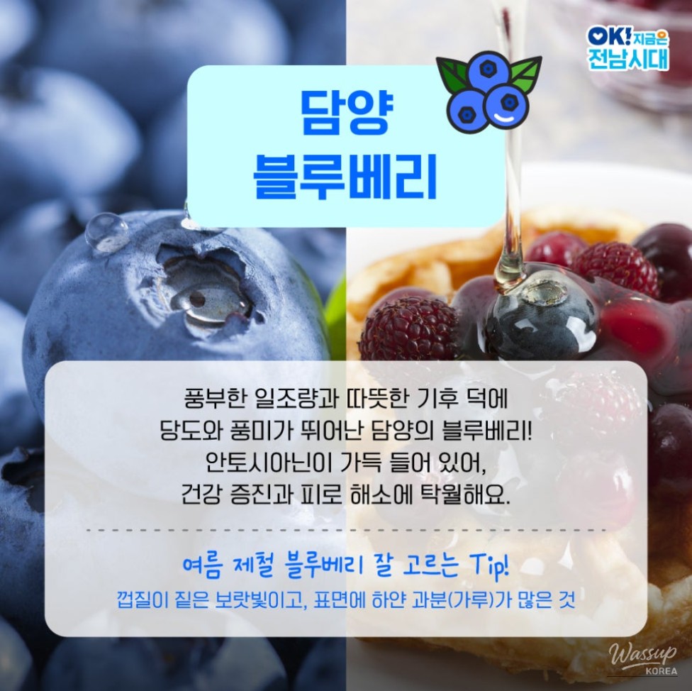 Refreshing Summer Fruits in June_03