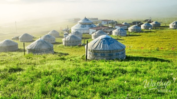 Discovering Mongolia: A Unique Summer Getaway_04