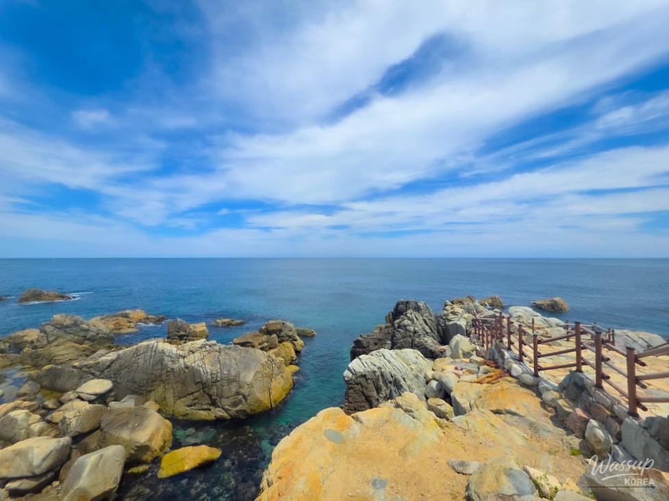 Exploring Haemaji Park: A Summer Stroll by the Sea in Yeongdeok_07