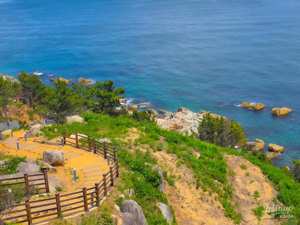 Exploring Haemaji Park: A Summer Stroll by the Sea in Yeongdeok_05