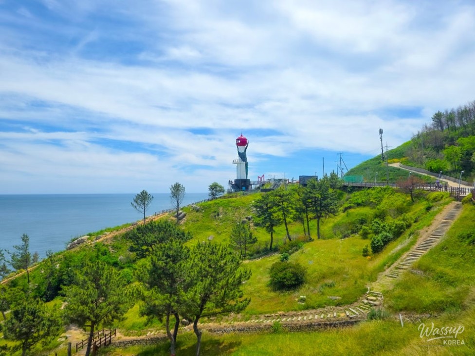 Exploring Haemaji Park: A Summer Stroll by the Sea in Yeongdeok_02