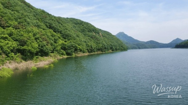 Discovering the Serene Beauty of Nature: A Hidden Gem in Damyang_03