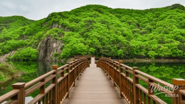 Discovering the Serene Beauty of Nature: A Hidden Gem in Damyang_04