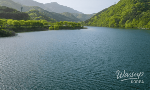 Summer Getaway: Smart Travel Tips for Busan_08