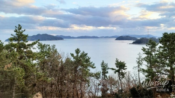 Discovering Wando: A Hidden Gem for Wellness and Nature_01