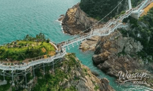 Discovering Wando: A Hidden Gem for Wellness and Nature_07