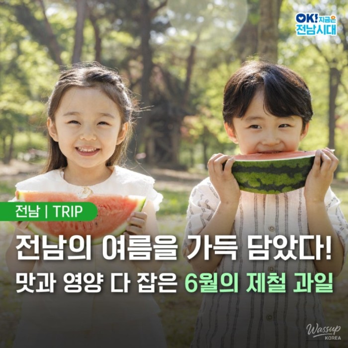 Refreshing Summer Fruits in June4245