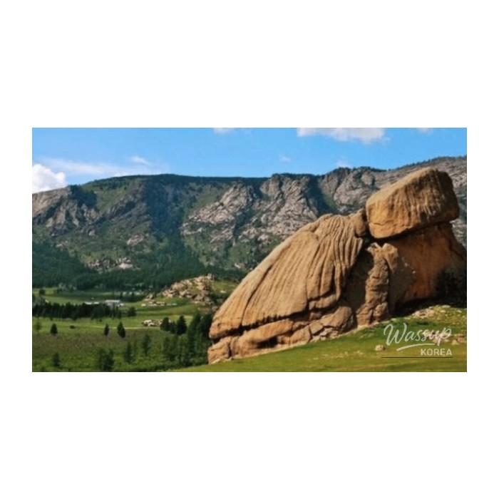 Discovering Mongolia: A Unique Summer Getaway4258