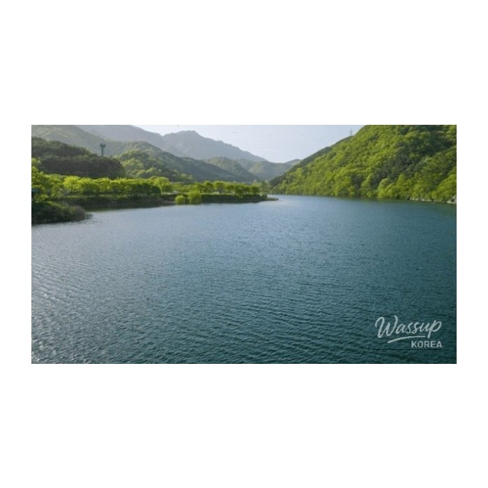 Discovering the Serene Beauty of Nature: A Hidden Gem in Damyang4252