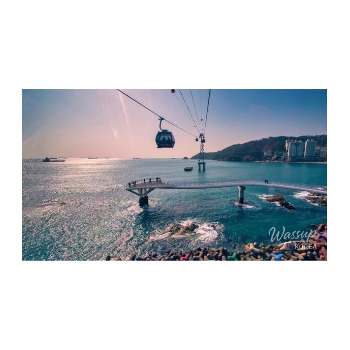 Summer Getaway: Smart Travel Tips for Busan4244